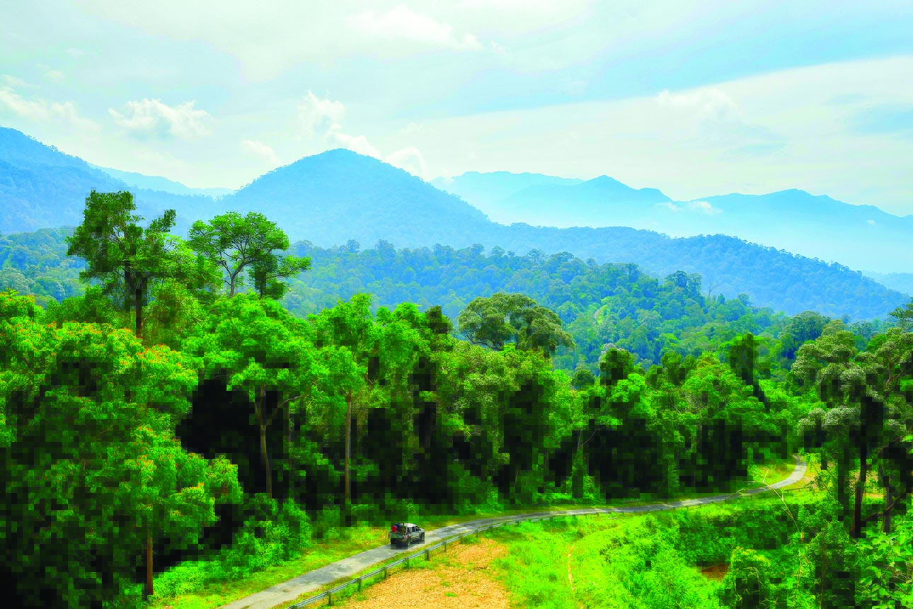 pahang
